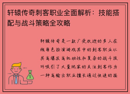 轩辕传奇刺客职业全面解析：技能搭配与战斗策略全攻略